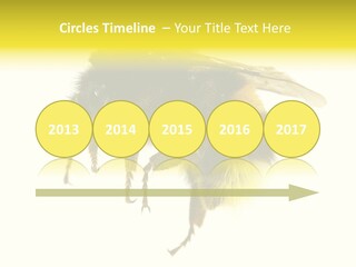 A Close Up Of A Bee On A White Background PowerPoint Template