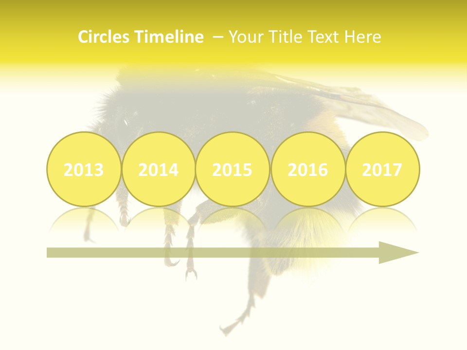 A Close Up Of A Bee On A White Background PowerPoint Template