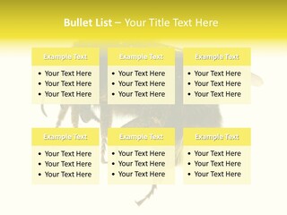 A Close Up Of A Bee On A White Background PowerPoint Template