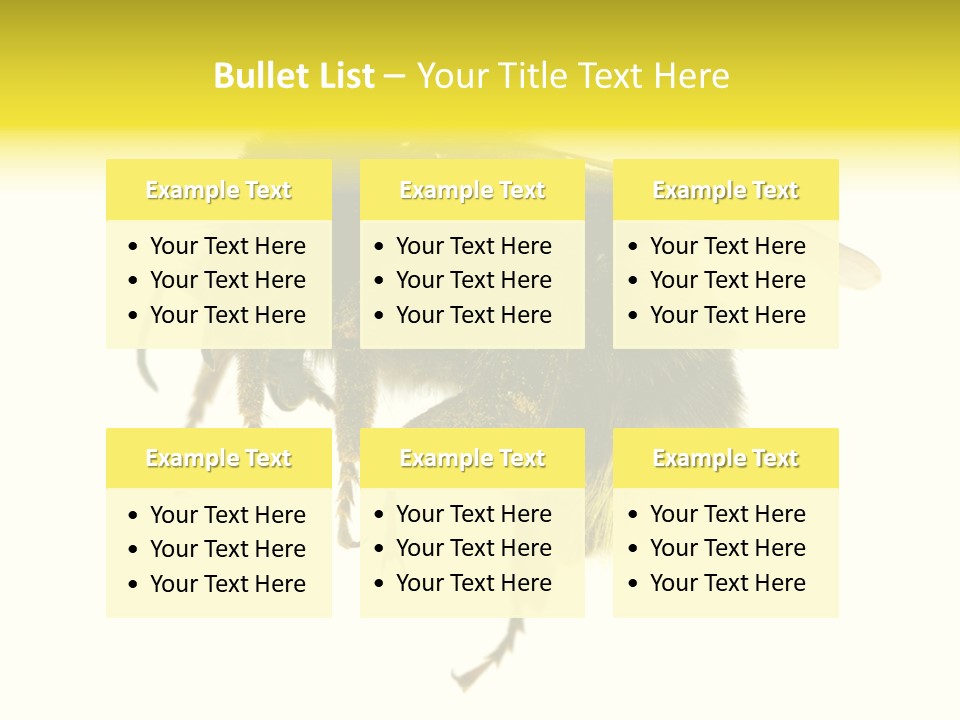 A Close Up Of A Bee On A White Background PowerPoint Template