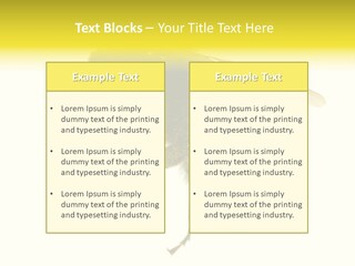 A Close Up Of A Bee On A White Background PowerPoint Template