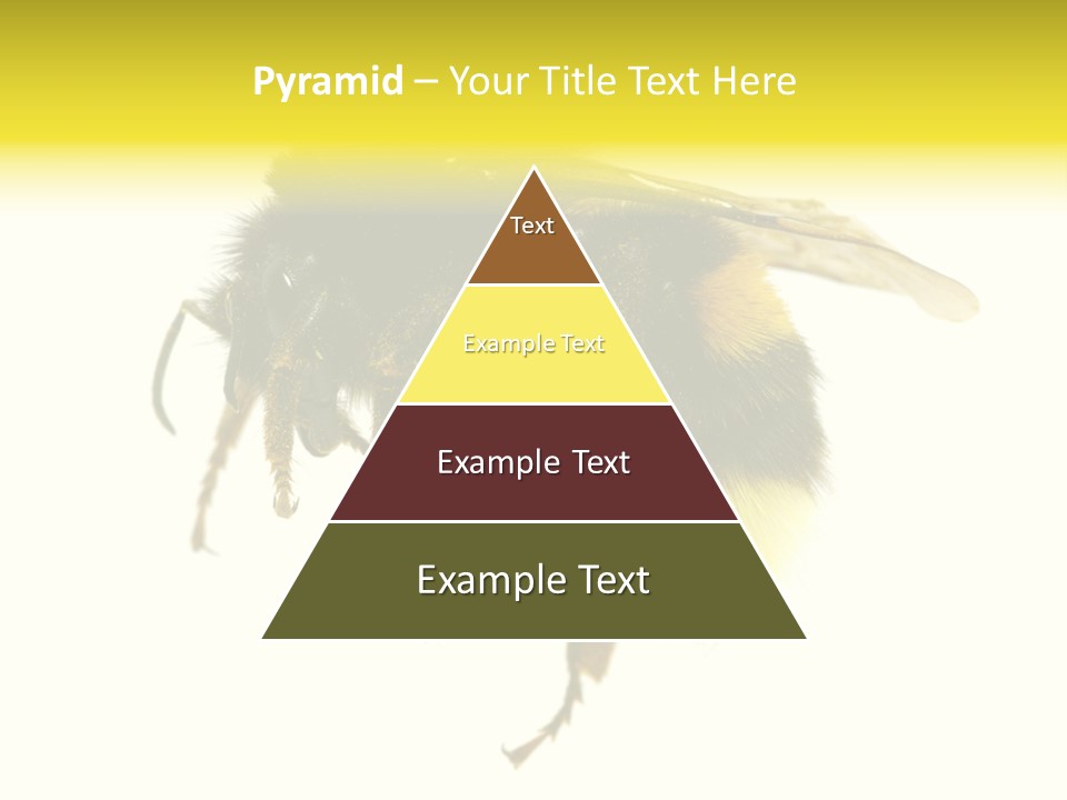 A Close Up Of A Bee On A White Background PowerPoint Template