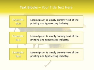 A Close Up Of A Bee On A White Background PowerPoint Template