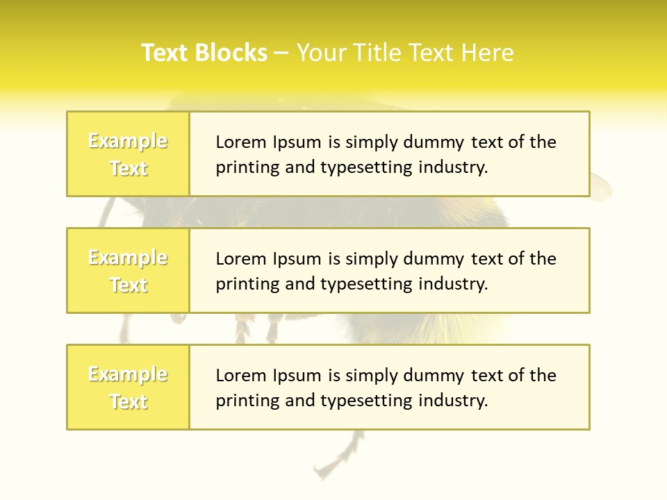 A Close Up Of A Bee On A White Background PowerPoint Template