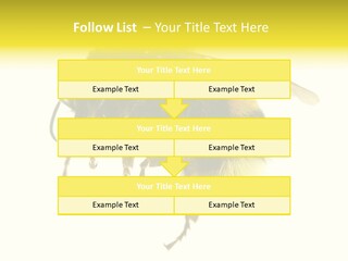 A Close Up Of A Bee On A White Background PowerPoint Template