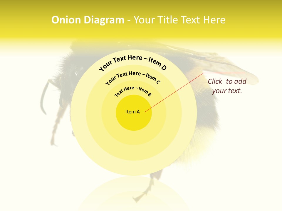 A Close Up Of A Bee On A White Background PowerPoint Template
