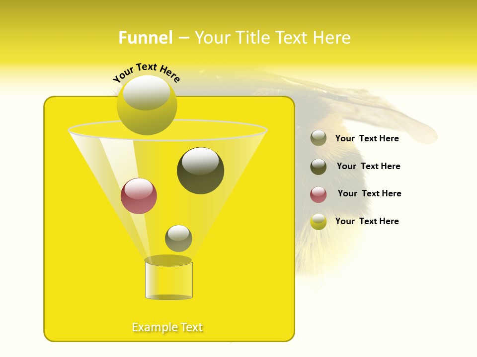 A Close Up Of A Bee On A White Background PowerPoint Template