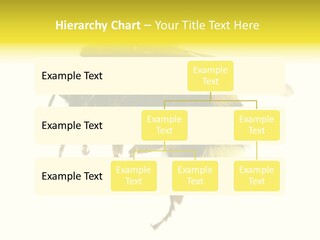 A Close Up Of A Bee On A White Background PowerPoint Template
