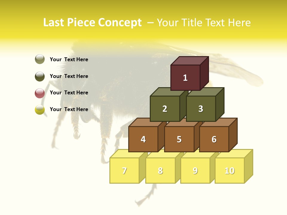 A Close Up Of A Bee On A White Background PowerPoint Template