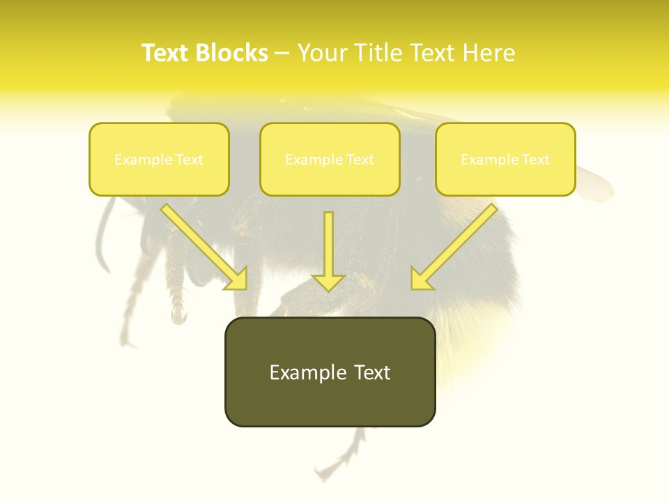 A Close Up Of A Bee On A White Background PowerPoint Template