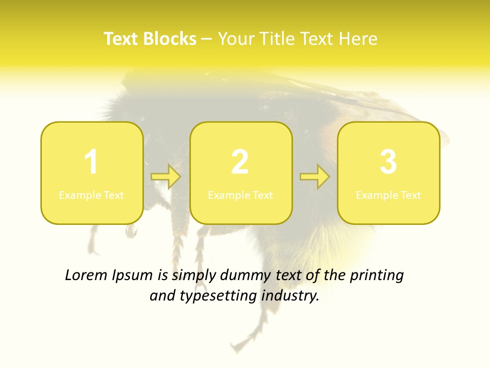 A Close Up Of A Bee On A White Background PowerPoint Template
