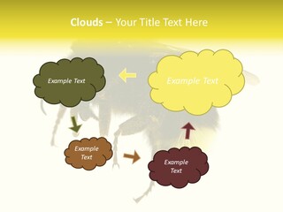 A Close Up Of A Bee On A White Background PowerPoint Template