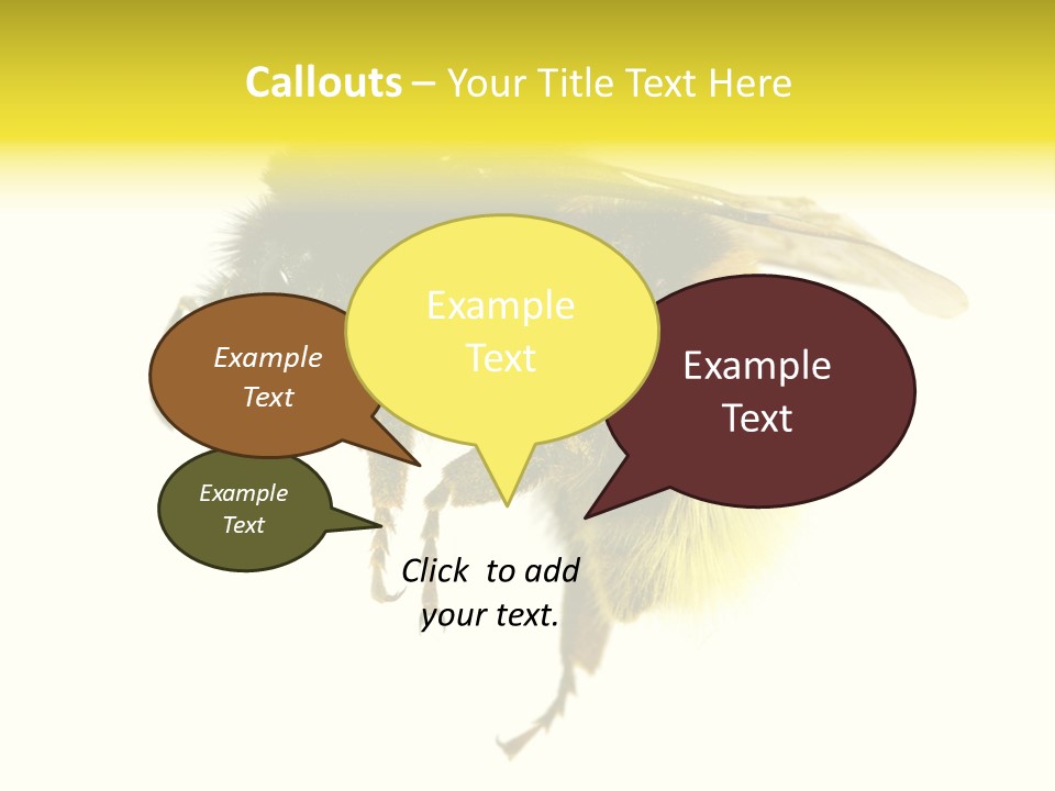 A Close Up Of A Bee On A White Background PowerPoint Template