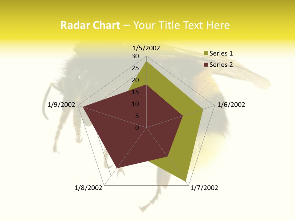 A Close Up Of A Bee On A White Background PowerPoint Template