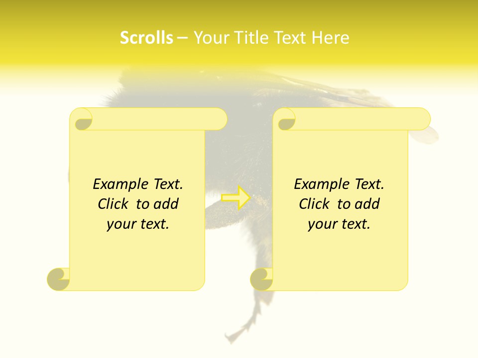 A Close Up Of A Bee On A White Background PowerPoint Template