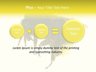 A Close Up Of A Bee On A White Background PowerPoint Template