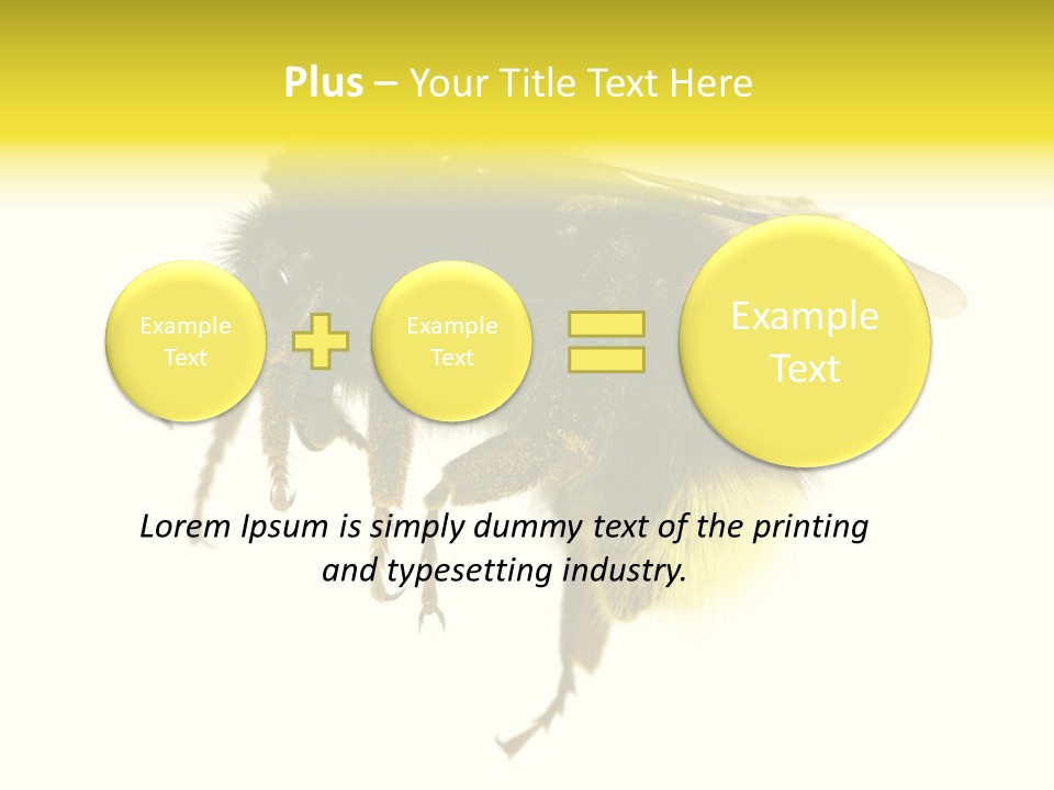 A Close Up Of A Bee On A White Background PowerPoint Template