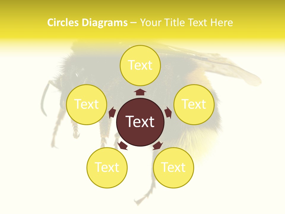 A Close Up Of A Bee On A White Background PowerPoint Template