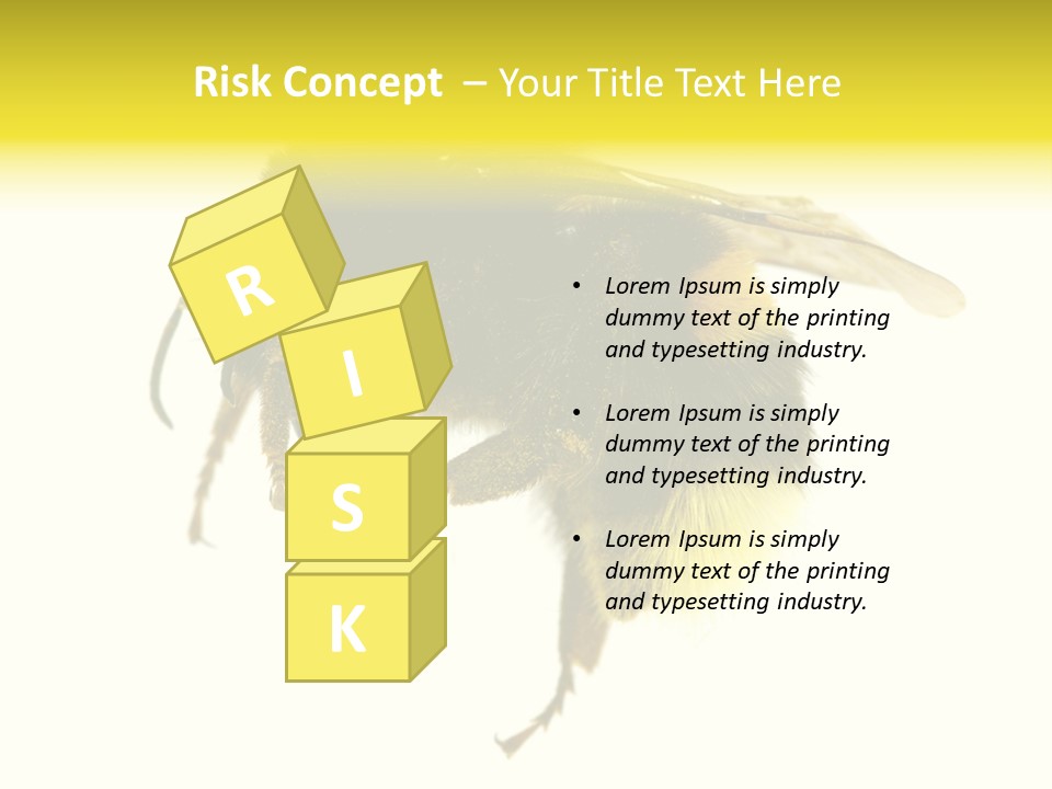 A Close Up Of A Bee On A White Background PowerPoint Template