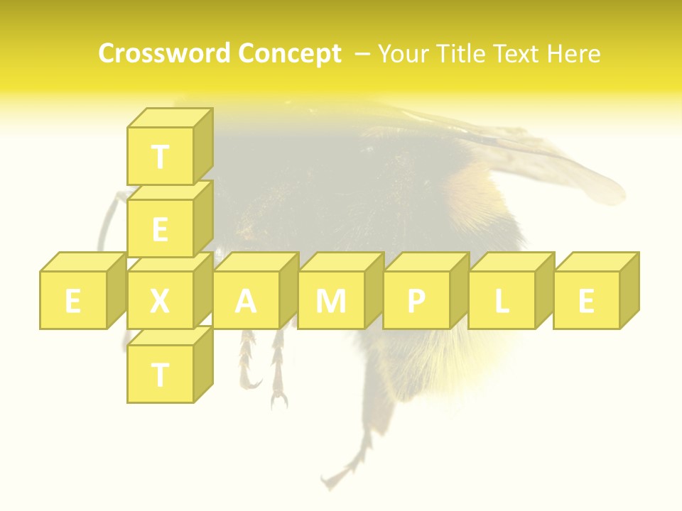 A Close Up Of A Bee On A White Background PowerPoint Template