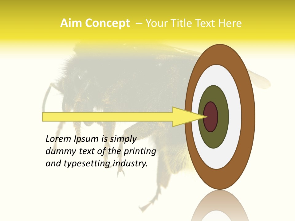A Close Up Of A Bee On A White Background PowerPoint Template