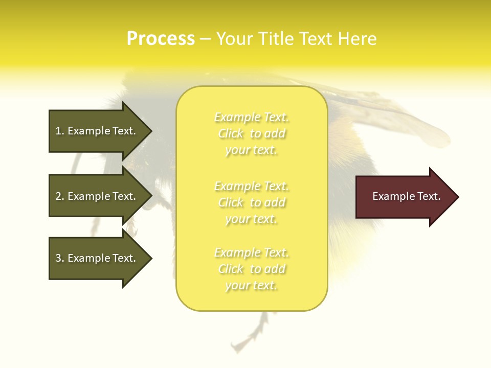 A Close Up Of A Bee On A White Background PowerPoint Template