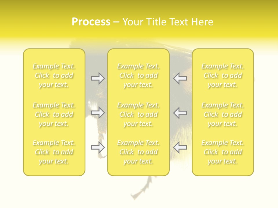 A Close Up Of A Bee On A White Background PowerPoint Template
