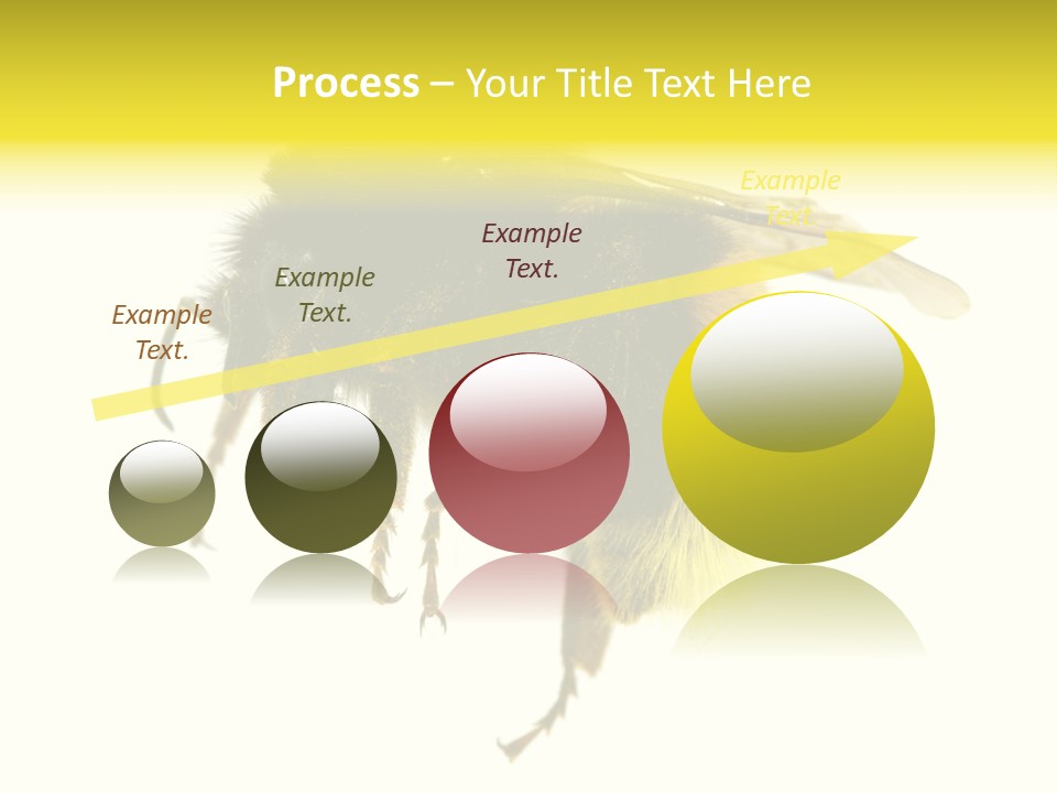 A Close Up Of A Bee On A White Background PowerPoint Template