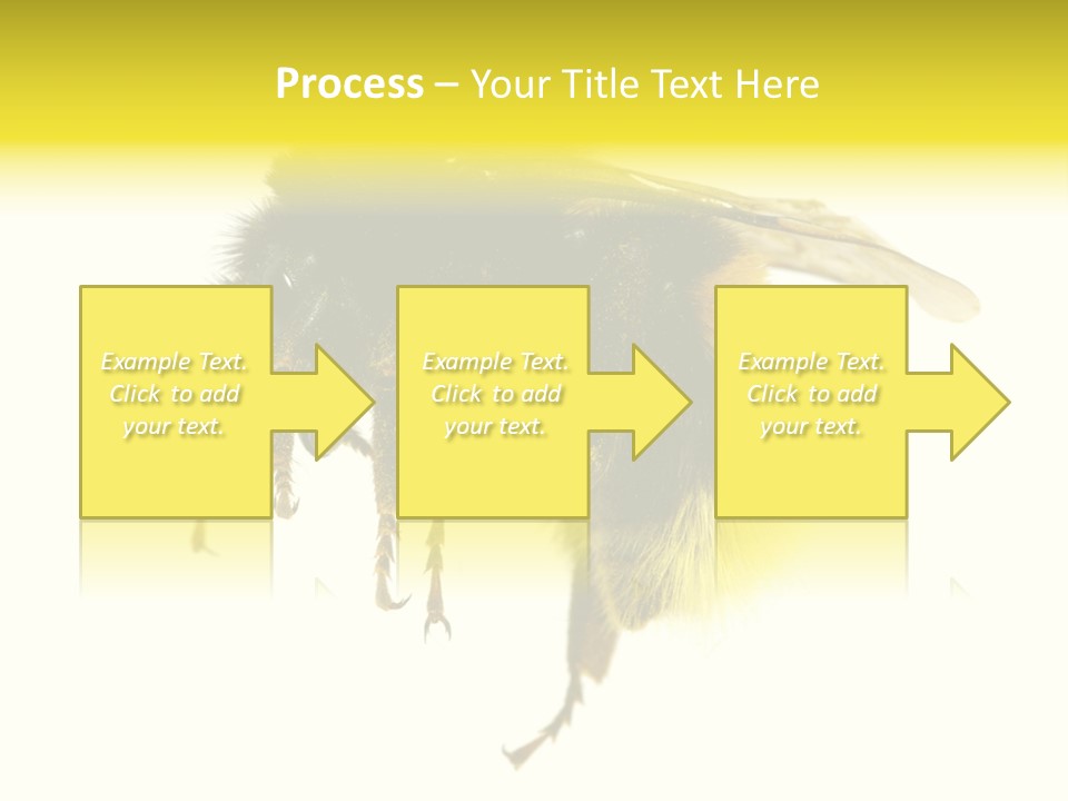 A Close Up Of A Bee On A White Background PowerPoint Template