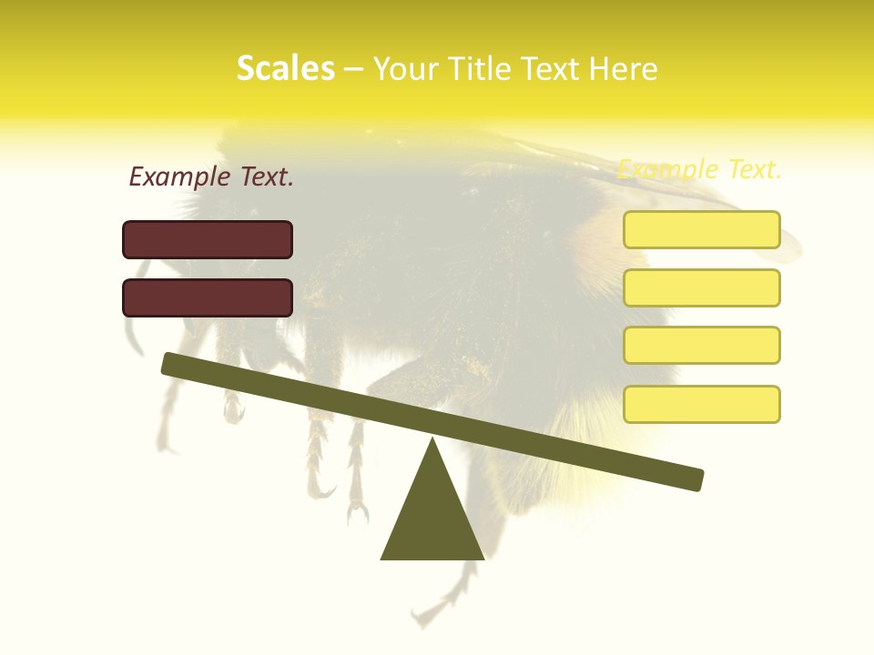 A Close Up Of A Bee On A White Background PowerPoint Template