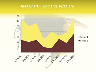 A Close Up Of A Bee On A White Background PowerPoint Template