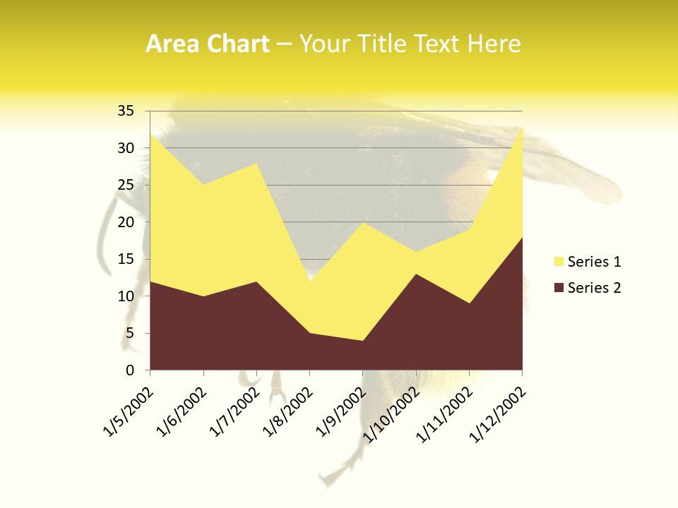 A Close Up Of A Bee On A White Background PowerPoint Template