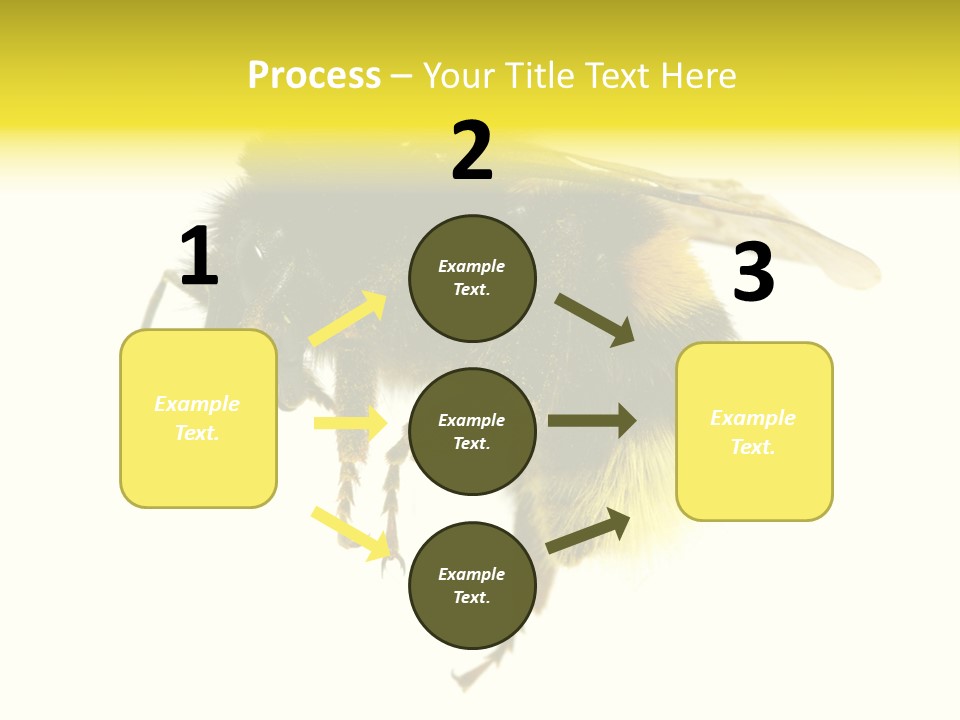 A Close Up Of A Bee On A White Background PowerPoint Template