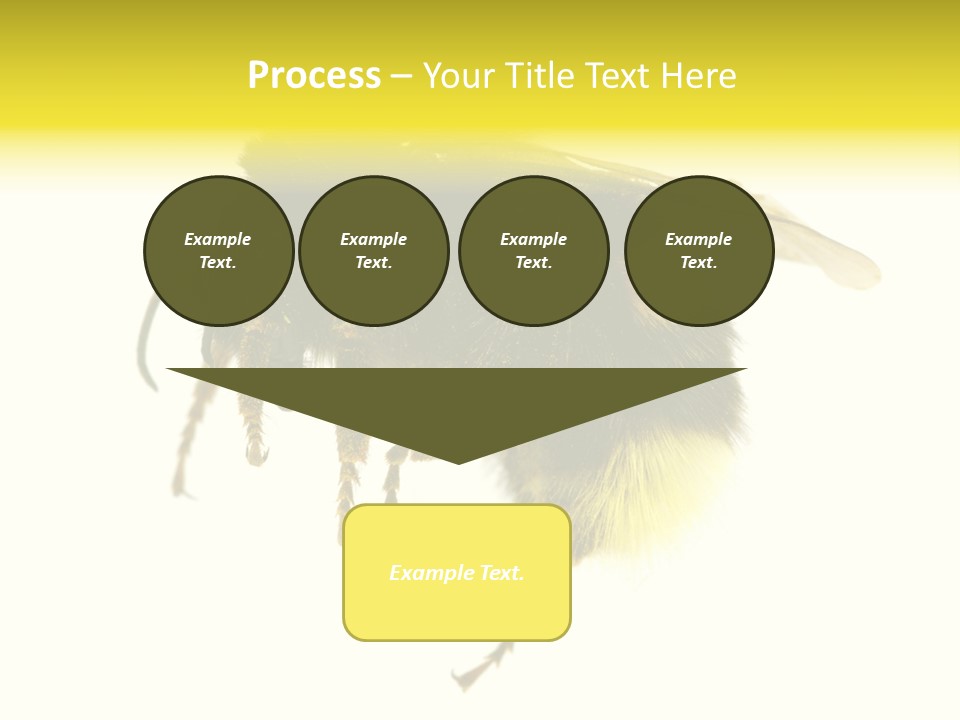A Close Up Of A Bee On A White Background PowerPoint Template
