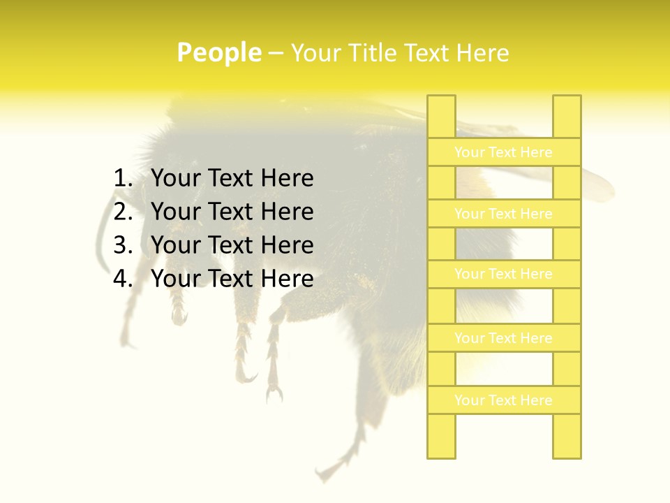 A Close Up Of A Bee On A White Background PowerPoint Template