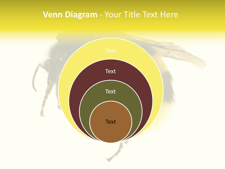 A Close Up Of A Bee On A White Background PowerPoint Template