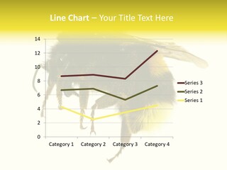 A Close Up Of A Bee On A White Background PowerPoint Template