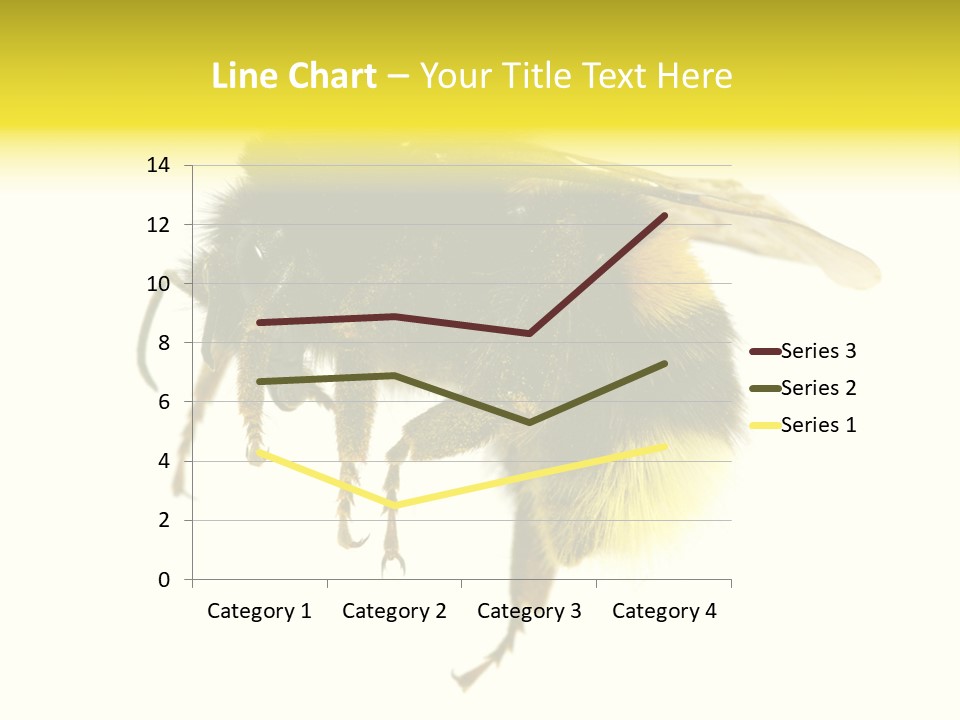 A Close Up Of A Bee On A White Background PowerPoint Template