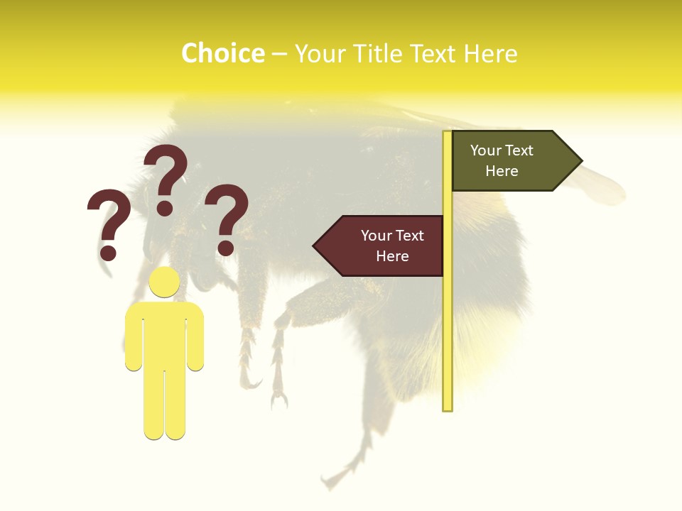 A Close Up Of A Bee On A White Background PowerPoint Template