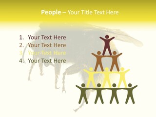 A Close Up Of A Bee On A White Background PowerPoint Template