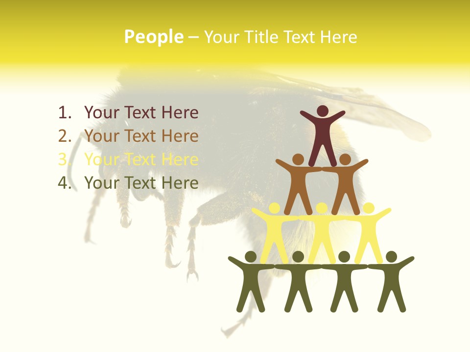 A Close Up Of A Bee On A White Background PowerPoint Template