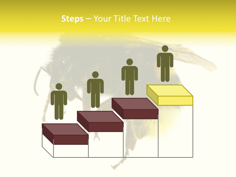 A Close Up Of A Bee On A White Background PowerPoint Template