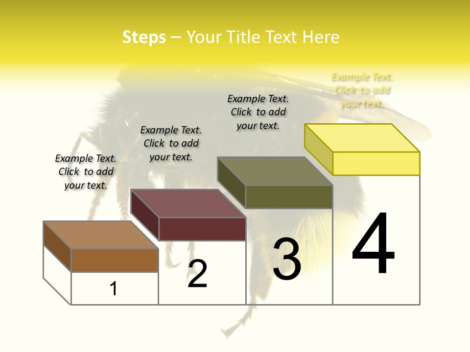 A Close Up Of A Bee On A White Background PowerPoint Template