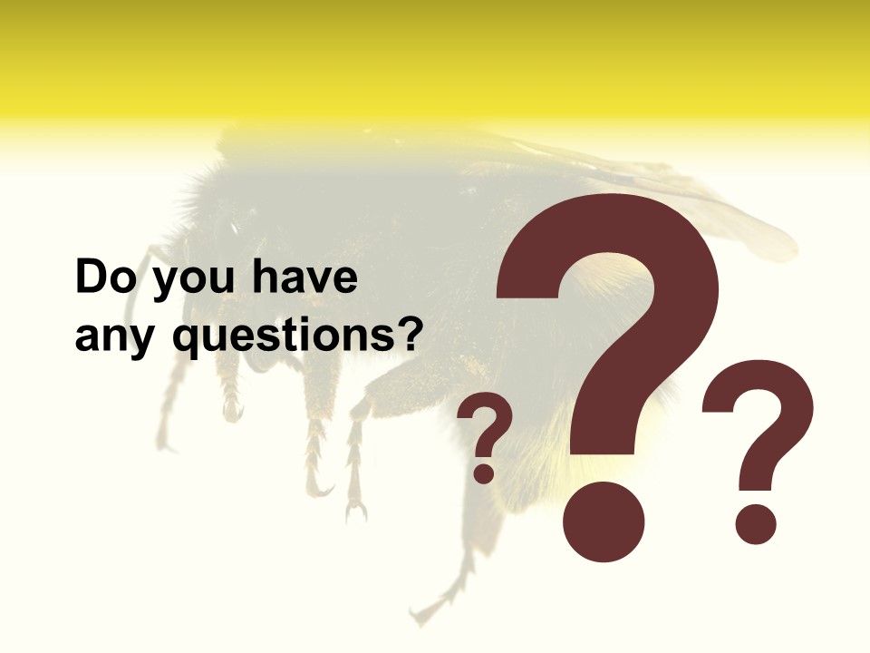 A Close Up Of A Bee On A White Background PowerPoint Template