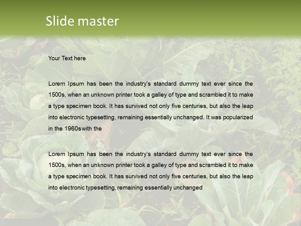 A Picture Of Some Plants In A Field PowerPoint Template