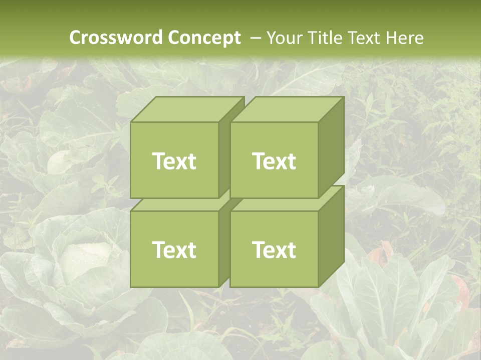 A Picture Of Some Plants In A Field PowerPoint Template