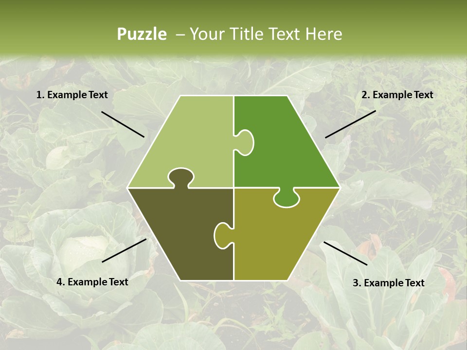 A Picture Of Some Plants In A Field PowerPoint Template