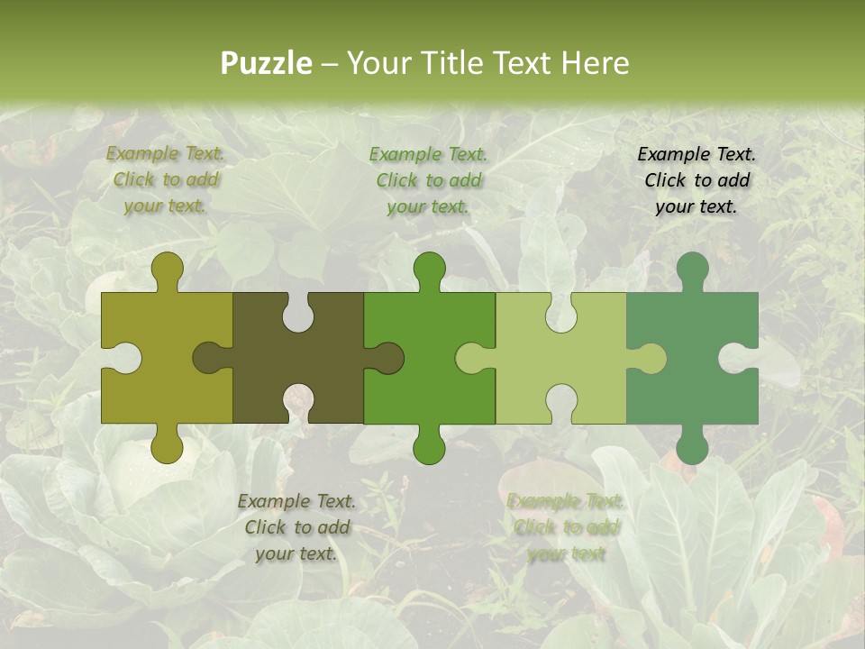A Picture Of Some Plants In A Field PowerPoint Template
