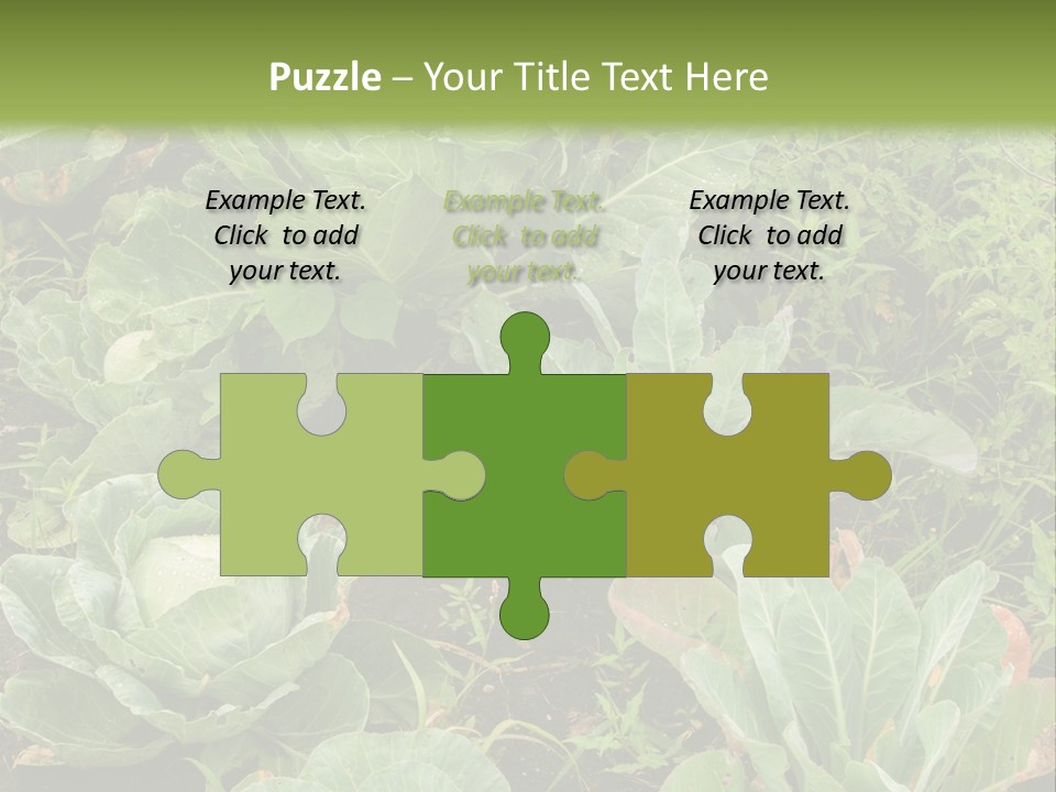 A Picture Of Some Plants In A Field PowerPoint Template