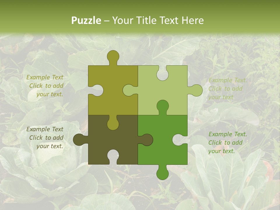 A Picture Of Some Plants In A Field PowerPoint Template